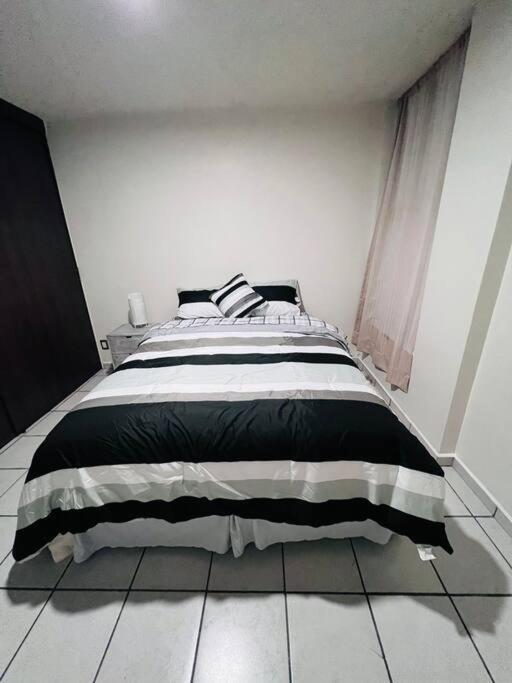 مدينة مكسيكو Hermoso Departamento En Coyoacan المظهر الخارجي الصورة