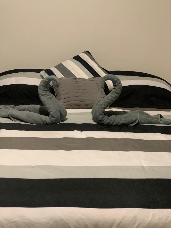 مدينة مكسيكو Hermoso Departamento En Coyoacan المظهر الخارجي الصورة
